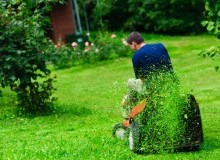 Kwikfynd Lawn Mowing
hinton