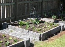 Kwikfynd Organic Gardening
hinton