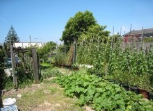 Kwikfynd Vegetable Gardens
hinton